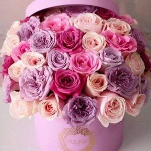 Meet your Posher, Leah